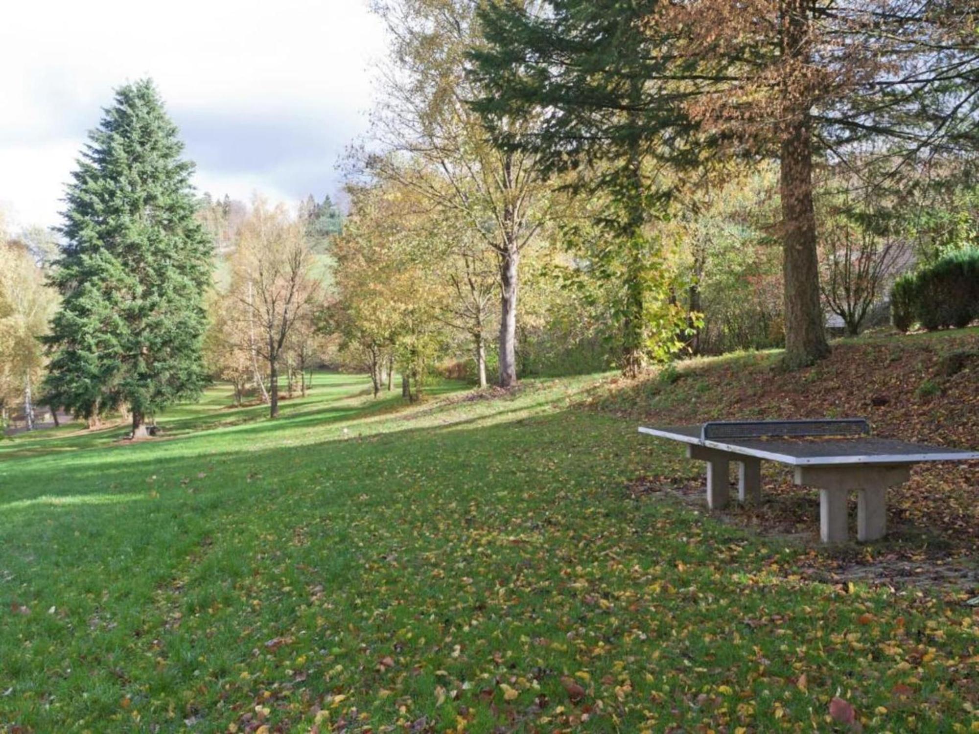 Apartment Near Ski Area In Wehrstapel In Sauerland ميشيده المظهر الخارجي الصورة